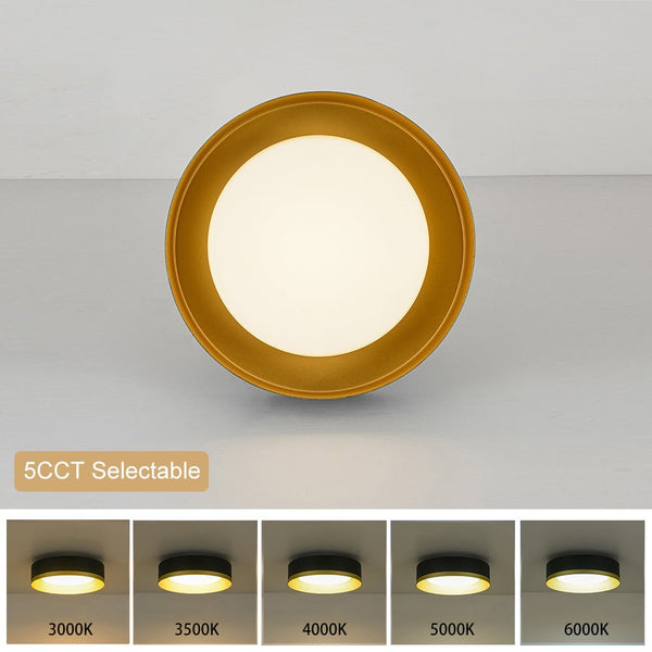 Chandelierias - 5CCT Selectable Dimmable LED Round Drum Flush Mount Ceiling Lamp - Flush Mount - Black - 1 - Pack