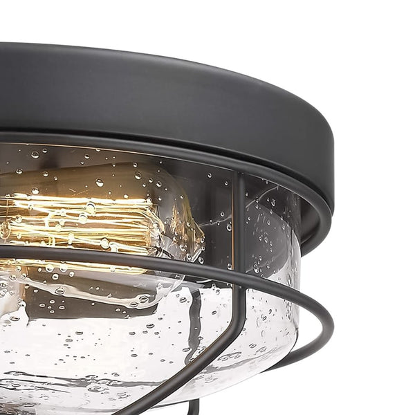 Chandelierias-Caged Flush Mount with Seeded Glass Shade-Flush Mount--