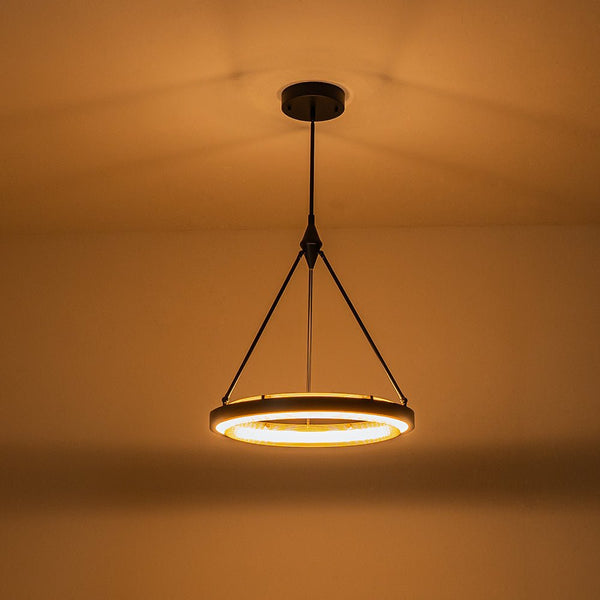 Chandelierias-Minimalist Metal Mesh Circle Dimmable LED Pendant Light-Pendant-Black (Pre-order)-