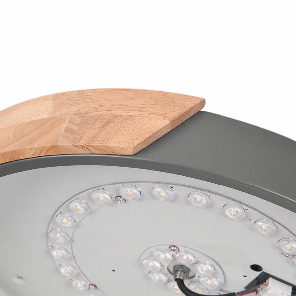 Chandelierias-Modern Round LED Flush Mount Ceiling Light-Flush Mount-Green-Warm