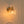 1-Light Ribbed Lantern Glass Single Wall Sconce