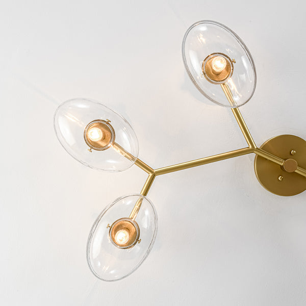 6-Light Brass Clear Ovoid Glass Branch Semi-flush Mount