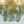 Dark Green 4-Light Stire Glass Tiered Semi-Flush Mount