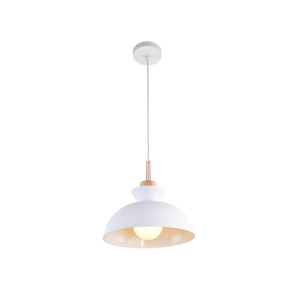 Modern Dome Hanging Pendant Light