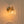Chandelierias-1-Light Ribbed Lantern Glass Single Wall Sconce-Wall Light-Brass-1-Pack