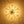 Chandelierias-4-Light Clear Pressed Flower Glass Blossom Semi-Flush Mount-Semi Flush-Brass-