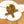 Chandelierias-4-Lobed Scalloped Drum Rattan Semi-flush Mount-Semi Flush-Light Brown-2-Pack
