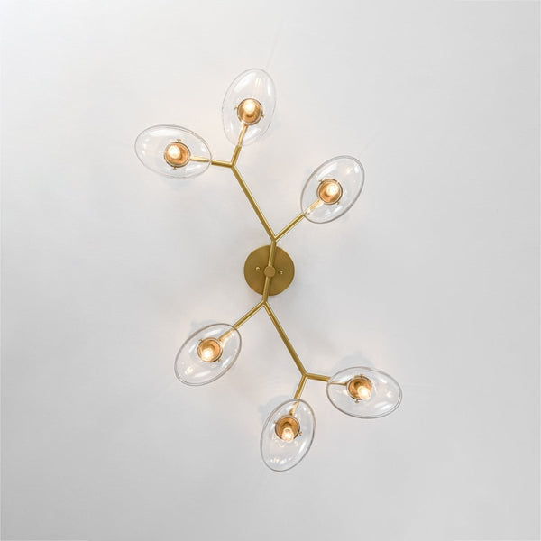 Chandelierias-6-Light Brass Clear Ovoid Glass Branch Semi-flush Mount-Semi Flush-Brass-