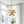 Chandelierias - Bold Mid - century 12 - Light Clear Glass Blooming Dandelion Sphere Chandelier - Chandeliers - Brass - 