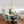 Chandelierias - Contemporary 4 - Light Crossing Linen Cone Shade Chandelier - Chandeliers - Brass - 