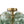 Chandelierias-Dark Green 4-Light Stire Glass Tiered Semi-Flush Mount-Semi Flush-Brass-