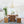 Chandelierias - Mid - century Modern Swoop Arm Metal Chandelier - Chandeliers - 6 - Light - 