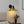 Chandelierias - Modern 1 - Light Dimmable Dome Wall Sconce - Wall Light - Black & Brass - 