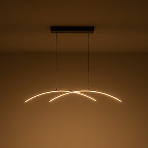 Chandelierias - Modern 2 - Light Minimalist Arc Dimmable LED Pendant - Pendant - Matte Black - 