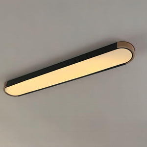 Modern Minimalist Led Flush Ceiling Light