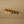 Chandelierias-Rustic 5-Light Walnut Wood Semi-Flush Track Light-Semi Flush-Pine & Black-