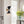 Modern 2-Light Black Armed Wall Sconce