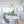 Modern 9-Light Metal Sputnik Chandelier Lighting