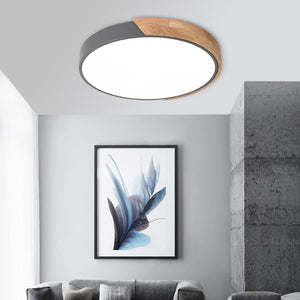 Modern Round LED Flush Mount Ceiling Light