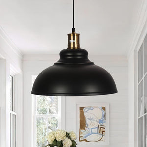 Chandelieria-Black Dome Hanging Pendant Light-Pendant-Default Title-