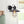 Chandelierias-Industrial 1-Light Black Metal Cage Wall Sconce-Wall Light--