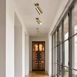 Chandelierias-Modern Brass Spotlight Single Track Lighting-Spotlight--