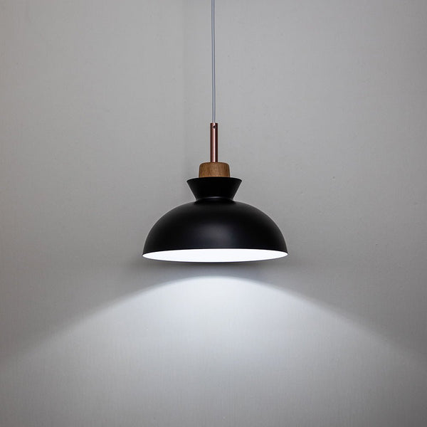 Chandelierias-Modern Dome Hanging Pendant Light-Pendant-Black-