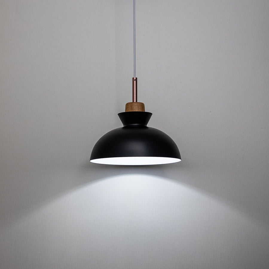 Chandelierias-Modern Dome Hanging Pendant Light-Pendant-Black-